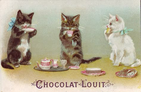 Explore patrick.marks' photos on Flickr. patrick.marks has uploaded 23772 photos to Flickr. Cat Tea Party, Three Kittens, Vintage Cats, Cat Illustrations, Little Kittens, Cat Party, Cats Illustration, Kitty Cats, Cat Painting