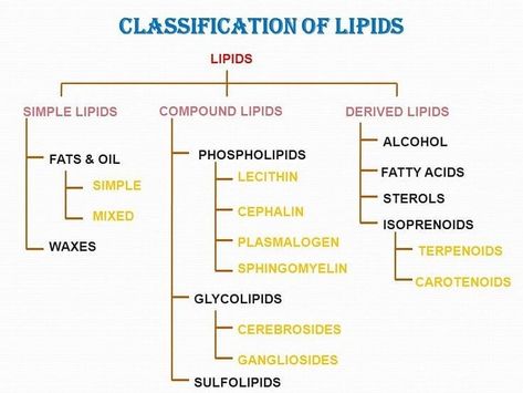 Lipids Biochemistry Notes, Lipids Notes, Lipids Biochemistry, Life Science Experiments, Microbiology Notes, Biochemistry Notes, Notes On Instagram, Organic Chemistry Study, Clinical Chemistry