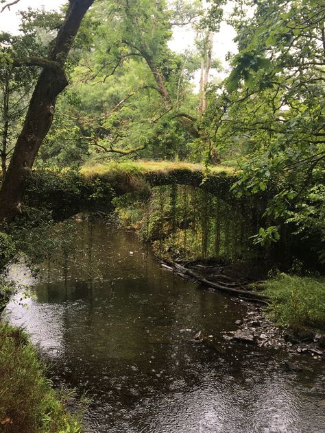 Pretty little bridge #forest #bridge #river #green #cottagecore #vines #aesthetic #wales French Forest Aesthetic, Forest Bridge Aesthetic, Nature Widgets Aesthetic, River Forest Aesthetic, River In Forest Aesthetic, Indie Forest Aesthetic, River Asthetic Picture, Cottagecore Aesthetic Boy, Forest River Aesthetic