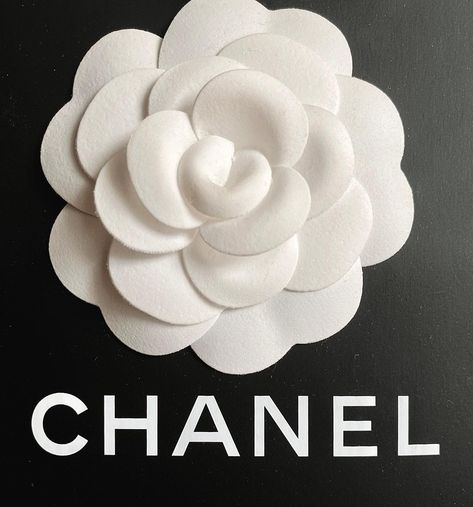 Vogue Aesthetic, Chanel Rose, Fame Dr, Blue Leaves, Luxury Brands, Vs Pink, Rose Flower, Luxury Branding, Bat