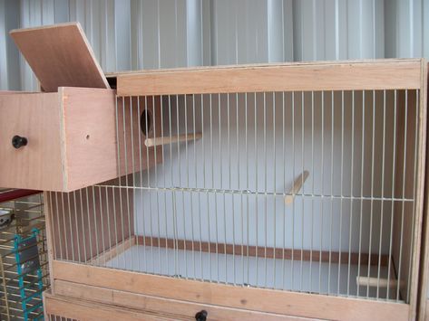 Love Birds Cage Ideas, Canary Cage, Cockatiel Cage, Diy Bird Cage, Birds Cage, Bird Cage Design, Cage Bird, Parakeet Cage, Pet Bird Cage