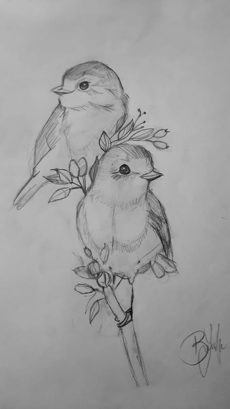 Bird Pencil Drawing, Pencil Drawings Of Animals, Bird Sketch, Animal Drawings Sketches, Cool Pencil Drawings, Pencil Drawings Easy, Art Drawings Sketches Pencil, Easy Drawings Sketches, Sketches Simple