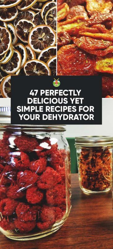 Ninja Foodie Dehydrator, Ninja Foodi Dehydrator Recipes, Ninja Dehydrator Recipes, Dry Food Storage Ideas, Ninja Oven, Dehydration Recipes, Dehydrated Recipes, Food Storage Ideas, Dehydrating Food Storage