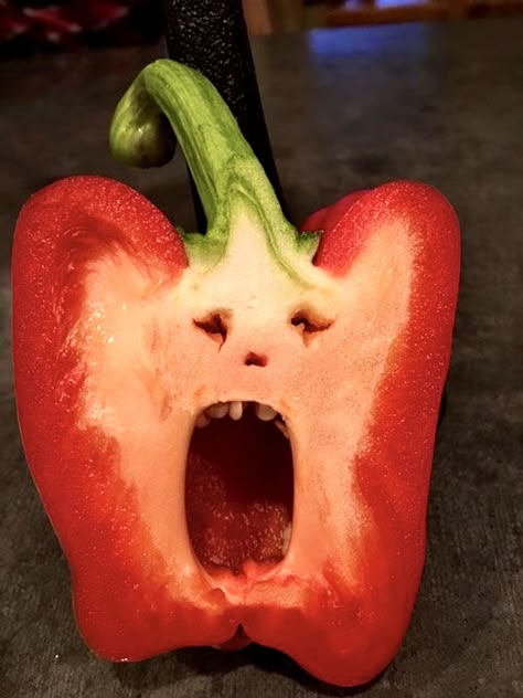 Tomato Pot, Weird Fruit, Things With Faces, Funny Vegetables, Tomato Seedlings, Funny Fruit, Incredible Edibles, Easy Food Art, Ready For Halloween