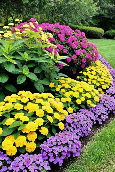 Hardy Perennials Full Sun, Rock And Flower Garden Ideas, Perinnals Flowers Full Sun, Full Sun Flowers That Bloom All Summer, Flower Beds In Front Of House Full Sun, Outdoor Plants Full Sun, Full Sun Landscaping Ideas, Perennial Garden Ideas, Full Sun Front Yard Landscaping