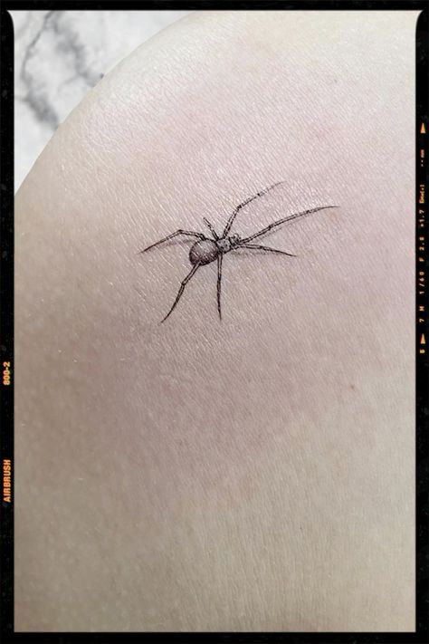 Inspiration Line Work Spider Tattoo, Fineline Spider Tattoo, Dainty Spider Web Tattoo, Small Spider Tattoo Simple, Dainty Spider Tattoo, Popular Small Tattoos, Tiny Spider Tattoo, Cool Small Tattoo Ideas, Spider Tattoo For Women