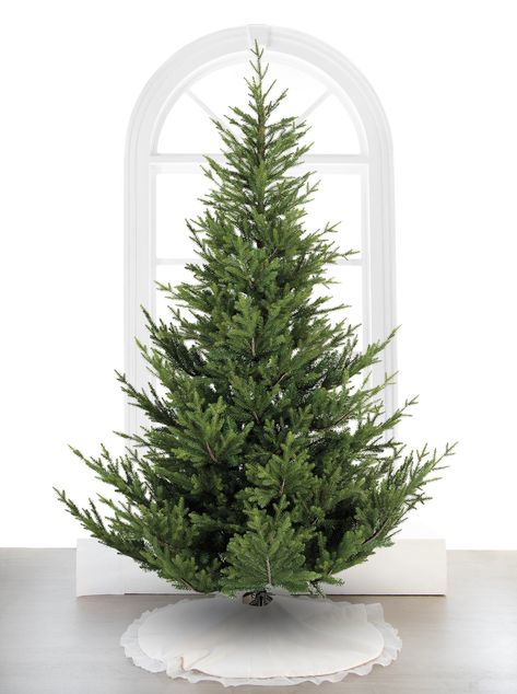 Our Norway Spruce intricately mimics the cultivated look of the natural forest, it is known for its beautiful realistic Christmas tree shape. The layered branch structure with forked outer tips creates an ideal backdrop for your favorite ornaments, while deep green foliage reflects the vibrant color of its namesake in Norway Spruce Tree, Christmas Palace, Realistic Christmas Trees, Norway Spruce, Spruce Tree, O Holy Night, New Year Decor, Tree Shapes, White Led Lights