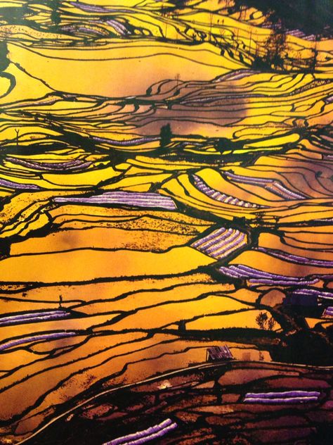 Paddy fields from above Fields From Above, Modern Art Acrylic, Rice Paddies, Aerial Photography Drone, Rice Field, Desert Environment, African Shirts, Abstract Designs, Aerial Photography