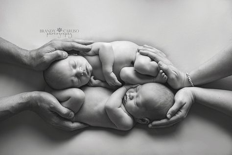 Twin newborn boys. Parents hands. Newborn posing. Newborn photography in studio. South Georgia newborn baby photographer Brandy Caruso Photography. Albany GA Parent Poses, Twin Babies Pictures, Newborn Twin Photos, Twin Baby Photography, Twin Baby Photos, Photography In Studio, Twins Posing, Twin Newborn, Twin Photography