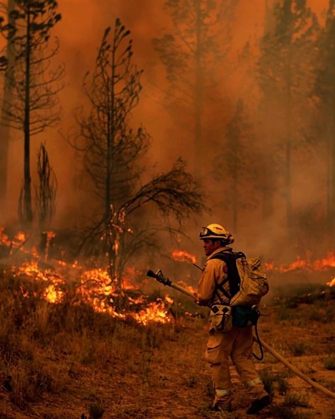 Firefighter Images, Forest Firefighter, Firefighter Art, Firefighter Paramedic, Firefighter Pictures, Firefighter Emt, Wildland Fire, 1st Responders, Fire Life