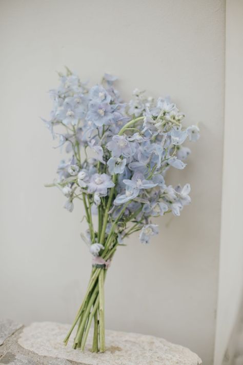 Small Blue Flowers Bouquets, Blue Flowers Delphinium, Blue And White Mini Bouquet, Small Blue Bridesmaid Bouquet, Light Blue Bridesmaids Bouquets, Blue Delphinium Wedding Bouquet, Single Variety Bouquet, Light Blue Delphinium Bouquet, Simple Blue Bouquet