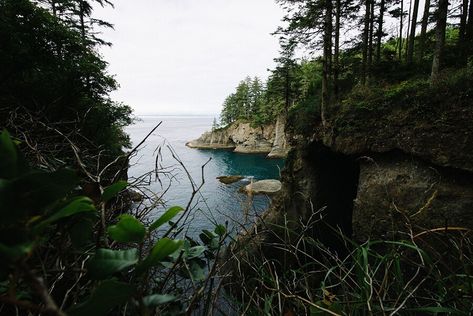 Hiking Cape Flattery and Shi Shi Beach Shi Shi Beach, Cape Flattery, Neah Bay, Wood Walkway, Cape Point, Olympic Peninsula, Blue Beach, Enjoy Nature, Sunset Pictures