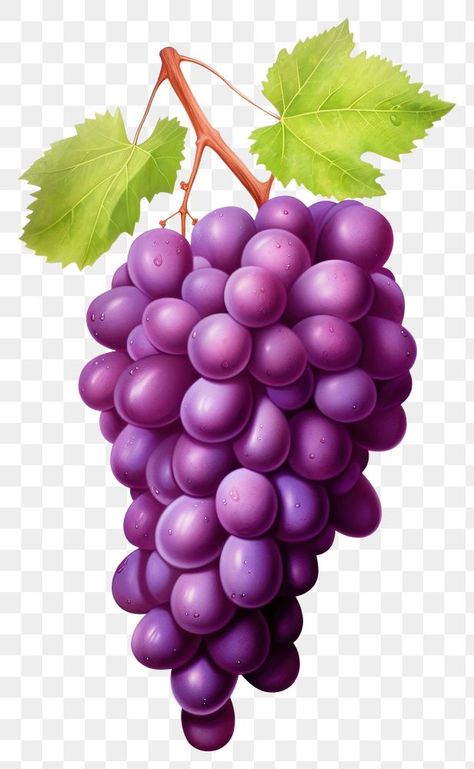 Grapes Images, Islamic Image, Fruit Cartoon, Food Fruit, Green Grapes, Fruit Plants, Islamic Images, Backgrounds Free, Cartoon Pics