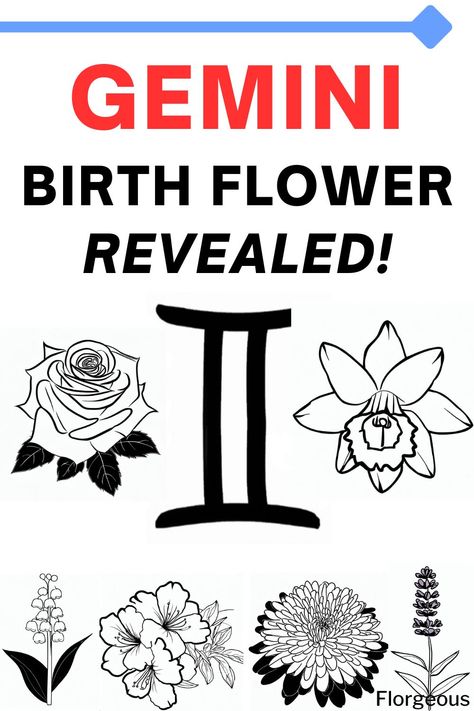 Gemini Birth Flower Gemini Flower Tattoo Birth Month, Gemini Birth Flower Tattoo, Gemini Birth Flower, Gemini Flower Tattoo, June Magick, Gemini Flower, Lillies Tattoo, Gemini Symbol, Birthday Horoscope