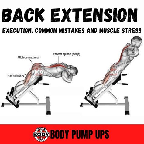 Back Extension Standards

Back Extension strength standards help you to compare your one-rep max lift with other lifters at your bodyweight.

Follow me @bodypumpup 

#backworkout #bentoverbarbellrow #barbellrow #backexerciseday #backexercises #exerciselegs #backworkoutday #fitessmotivation #gymtipsandtricks #gymmotivation Back Workout For Beginners, Back Extension Exercises, One Arm Dumbbell Row, Dumbbell Row, Back Extension, Barbell Row, Back Extensions, Home Gym Exercises, Body Pump