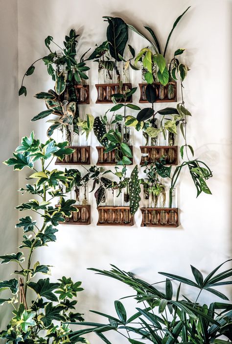 Biofilic Design, Wall Hanging Decorations, Plant Display Ideas, Indoor Plant Wall, Zen Home Decor, Hanging Gardens, Plants Home, Plants Wall, Hanging Plant Wall