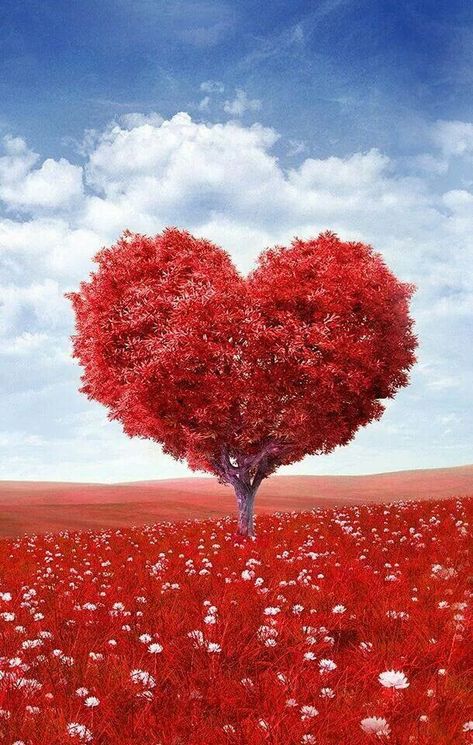 Pretty heart shaped tree <3 Heart Shaped Tree, Heart In Nature, I Love Heart, Heart Tree, Happy Heart, With All My Heart, Beautiful Heart, Heart Art, Heart Soul