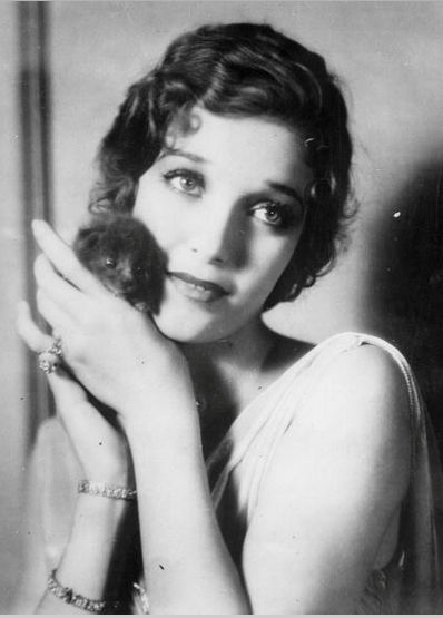 Loretta Young and a kitten Adrienne Ames, Bebe Daniels, Celebrities With Cats, Loretta Young, National Cat Day, Freddy Mercury, Catherine Deneuve, Ernest Hemingway, Cat People