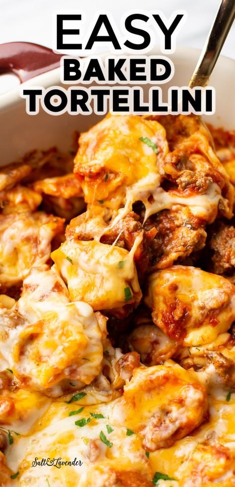 Tortellini Meatball Recipes, Baked Tortellini With Sausage, Tortellini Pasta Recipes Alfredo Sauce, Pasta Recipes Tortellini Easy Dinners, Cheesy Meat Sauce Baked Tortellini, Cheese Tortellini With Meat Sauce, Tortellini Bake With Sausage, Tortellini Hotdish, Hamburger Meat Tortellini