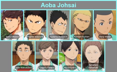 Nohebi Haikyuu Team, Haikyu Teams, Aoba Johsai Team, Aoba Johsai, Haikyuu Volleyball, Smash Or Pass, Haikyuu Karasuno, Volleyball Anime