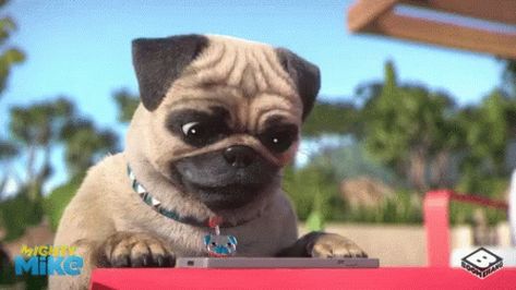 Dog Animated, Mighty Mike, Dog Animation, Happy Funny, Pug Dog, Pug, Animated Gif, Cool Gifs, French Bulldog