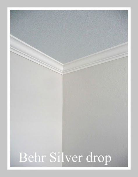 A New Found Love of GRAY!! with white moldings and soft blue ceiling Silver Drop Paint Color, Silver Drop Behr Paint Color Schemes, Behr Silver Drop Paint, Silver Drop Paint, Ceiling Colors For White Walls, Silver Drop Behr Paint, Silver Wall Paint, Condo Checklist, Silver Paint Walls