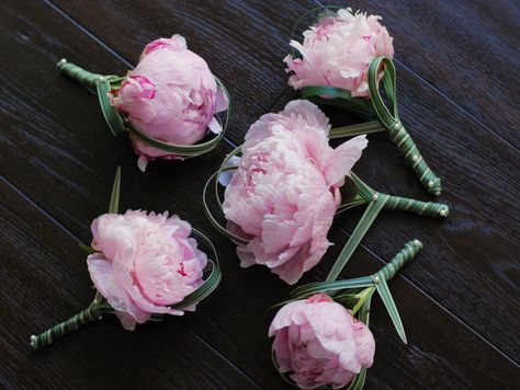 Peony Boutonniere, Pink Boutonniere, Groom Buttonholes, Deer Resistant Perennials, Corsage And Boutonniere, Corsage Prom, Peony Wedding, Groom Boutonniere, Flower Corsage