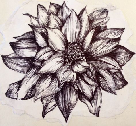 Flower illustration created with biro black pen Biro Drawing Sketches, Drawing Depth, Biro Sketches, Flower Sketch Pencil, Biro Drawing, Biro Art, Pencil Drawings Of Flowers, Flower Drawing Tutorials, Flower Pens