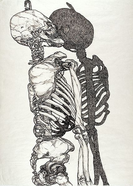 Skeleton Drawings, Wellcome Collection, A Skeleton, Ink Pen Drawings, Pen Drawing, Ink Drawing, Pen And Ink, Art Inspo, Anatomy