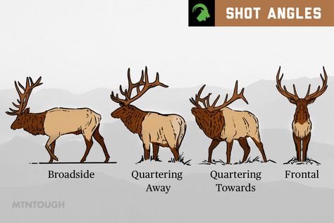 Master the art of elk hunting with this comprehensive guide on elk shot placement. Learn about vital organs, angles, and techniques for a humane kill. Archery Elk Hunting, Bow Hunting Tips, Whitetail Deer Hunting, Game Hunting, Big Game Hunting, Hunting Tips, Elk Hunting, Bow Hunting, Whitetail Deer