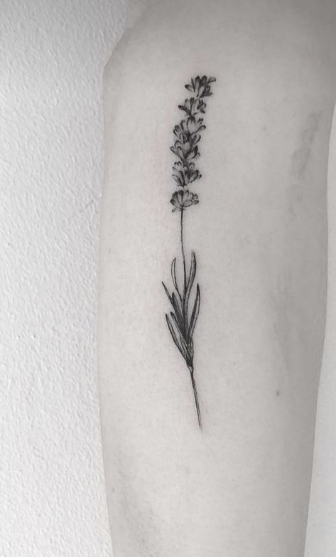 Black And Grey Lavender Tattoo, Lavender Tattoo Design Black And White, Lavender Tattoo Black, Rosemary Tattoo, Lavender Tattoo, Black Tattoos, Maple Leaf Tattoo, I Tattoo, Flower Tattoo