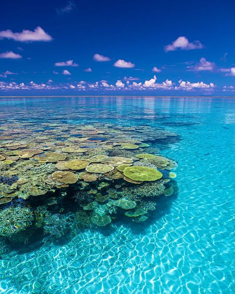 📍 Hatoma Island, Okinawa Captured by @atsushi_okiphoto Follow @his_travel to discover Japan 🌸 ------------------------------------------------- Destination Japan by HIS International Tours ------------------------------------------------- #DestinationJapan #HatomaIsland #OkinawaPrefecture #HiddenGem #ScenicOkinawa #PristineBeaches #CrystalClearWaters #JapaneseIslands #NaturalBeauty #ExploreOkinawa #VisitHatoma #TravelJapan #SereneEscape #StunningViews #CulturalHeritage #PeacefulRetreat #Tr... Travel, Japan Travel, Nature, Okinawa, Okinawa Japan, Remote Island, Tropical Paradise, Natural Beauty, Japan