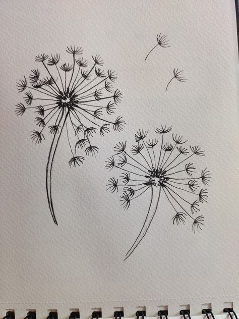 Double Dandelion by Kamalika using fineliner pen Kawaii, Balayage, Easy Black Pen Art, Simple Pen Drawings Doodles, Black Pen Easy Drawings, Pen Art Beginners, Black Pen Art Doodles Easy, Mini Pen Drawings, Pen Drawing Ideas Easy Simple