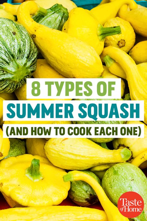 Move over zucchini -- there are lots of delectable squashes in gardens and groceries right now. Big Squash Recipes, Star Squash Recipes, Squashes Types Of, Different Types Of Squash Summer, Types Of Summer Squash, Golden Egg Squash Recipes, Mini Squash Recipes, How To Cook Crookneck Squash, Green Summer Squash Recipes