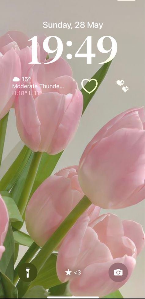 spring
tulip
lockscreen
ios 16
ios
aesthetic
springg
flowers Keyboard Wallpaper Aesthetic Pink, Pink Tulips Wallpaper Aesthetic, Pink Wallpaper Ipad, Iphone Wallpaper Ios, Original Iphone Wallpaper, Blue Tulips, Iphone Organization, Iphone Lockscreen, Soft Wallpaper