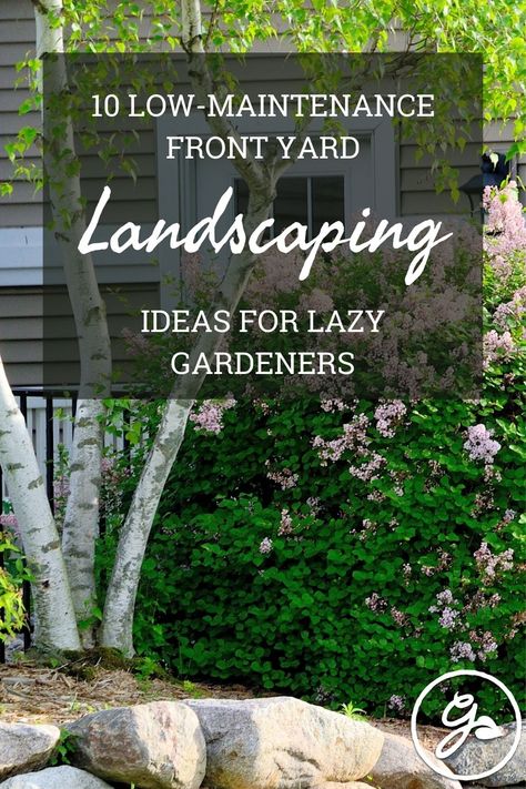 Lazy gardeners, rejoice! Here are 10 low-maintenance front yard landscaping ideas to lighten your landscaping load and give you more time to actually enjoy your outdoor space. Low Maintenance Front Yard Landscaping Ideas Zone 5, Large Front Yard Landscape Ideas, Very Small Front Yard Landscaping, Simple Green Landscape Front Yards, Front Yard Landscape Low Maintenance, Front Yard Landscaping Design Minimalist, Front Yard Cheap Landscaping Ideas, No Maintenance Front Yard, Low Maintenance Foundation Landscaping