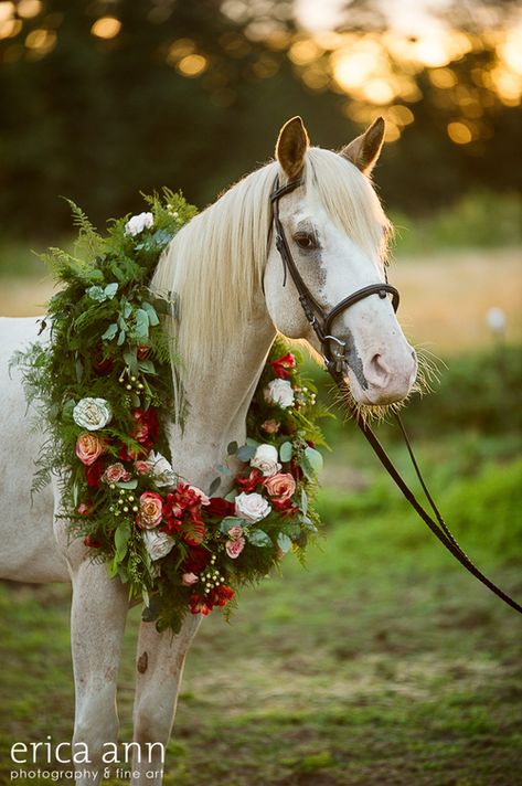 Horse Flower, Horse With Flowers, Horse Flowers, Horse Wedding, Horse Dressage, Most Beautiful Horses, Hobby Horse, Horse Equestrian, Portland Oregon