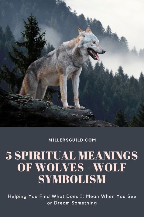 5 Spiritual Meanings of Wolves – Wolf Symbolism Animals Symbolism, Wolf Meaning, Wolf Symbolism, Wolf Black And White, Wolf Paw Print, Spirit Animal Meaning, Animal Meanings, Wolf Paw, Spiritual Animal