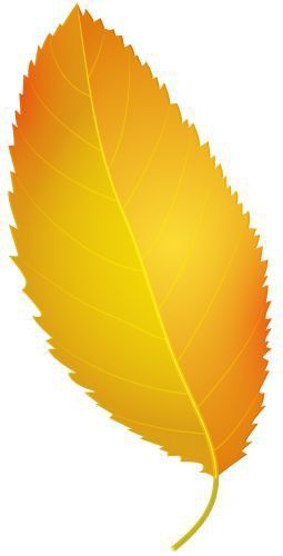 Fashion Illustration Hair, Fall Leaf Template, Web Clipart, Thanksgiving Leaves, Png Pictures, Leaf Png, Fall Clip Art, Yellow Autumn, Autumn Leaves Art