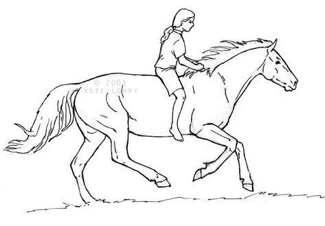 Person Riding Horse Drawings and Sketches How To Ride A Horse, Ride Drawing, Person Sketch, Cowboy Artwork, Ride A Horse, Graphic Novel Illustration, Horse Animation, Horse Sketch, Person Drawing