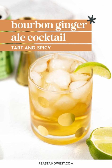 This Bourbon and Ginger Ale cocktail, AKA the Whiskey Ginger, is a classic two-ingredient cocktail. Try out this sweet and spiced drink for a cold sipper that will warm you up. Woodford Reserve Cocktails, Whiskey And Ginger Ale, Ginger Ale Drinks, Ginger Beer Drinks, Ginger Ale Cocktail, Ginger Beer Cocktail, Ginger Cocktails, Ginger Honey, Woodford Reserve