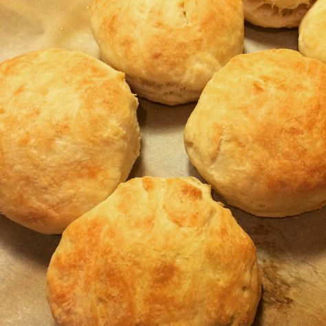 beer biscuits recipe Beer Biscuits Easy, Bisquick Beer Biscuits, Beer Bread Recipe Self Rising Flour, Beer Bread Recipe 3 Ingredients, Beer Bread With Bread Flour, Beer Biscuits, Grandmas Kitchen, Tea Biscuits, Hamburger Bun