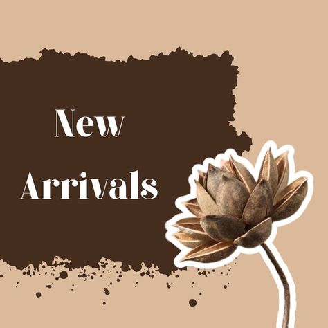 Beige Brown Minimalist New Arrivals Instagram Post Free Canva Template Design By Ivan Lu #canva #template #freetemplate #instagram #post #social #media #free #new #arrival Brown Minimalist, Instagram Post Template, Post Templates, Beige Brown, Canva Template, Template Design, New Arrivals, Instagram Post, Instagram Posts