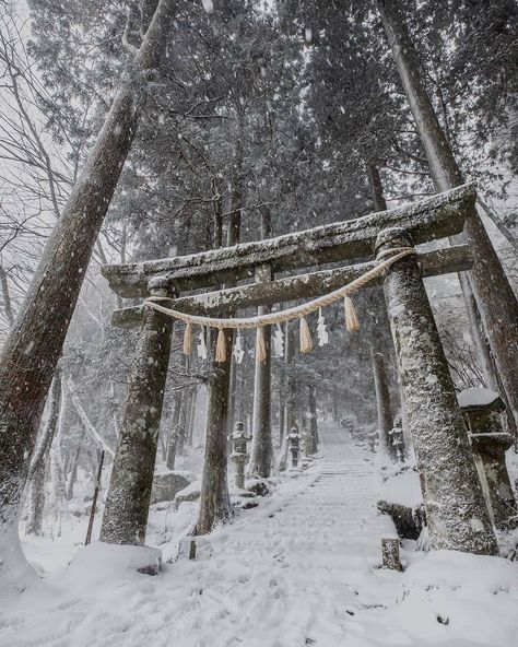 Winter In Japan, Japan Winter, Japan Landscape, Torii Gate, Japanese Temple, Japan Aesthetic, Aesthetic Japan, White Images, Fantasy Places