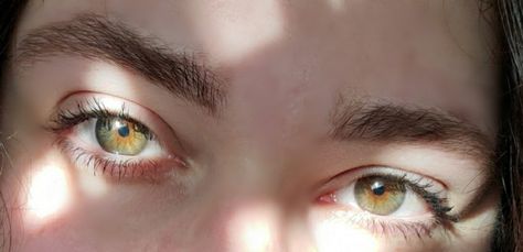 Hazel eyes in the sunlight Hazel Eyes In Sunlight, Green Eyes In Sunlight, Light Hazel Eyes Aesthetic, Green Hazel Eyes Aesthetic, Eyes In Sunlight, Light Hazel Eyes, Hazel Eyes Aesthetic, Green Hazel Eyes, Pretty Green Eyes