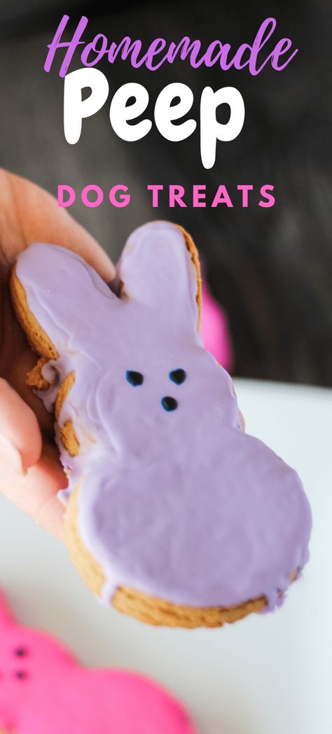 Easter Dog Treats Recipe, Cute Homemade Dog Treats, Homemade Dog Treat Packaging Ideas, Dog Sprinkles Recipe, Dog Treats That Look Like Human Food, Spring Dog Treats, Easter Dog Treats Homemade, Dog Treat Cookies, Dog Macarons