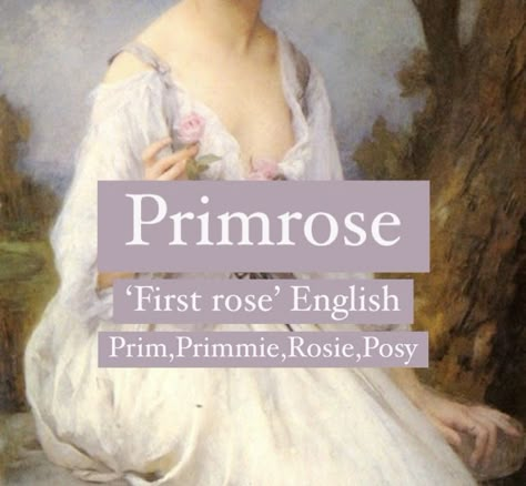 Baby girl name Primrose. Princess flower name. Primrose Name Meaning, Primrose Flower Meaning, Primrose Name, Flower Names Aesthetic, Flower Nicknames, Primrose Meaning, Rose Name Meaning, Flower Names And Meanings, Primrose Aesthetic