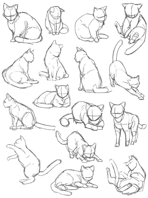 Cat Sketch Poses, Cat Drawings Tutorials, Animal Drawings Reference, Manga Cat Drawing, Cat Body Sketch, Cats Poses Drawing, Cat Posing Reference, Cat Poses Drawing Reference Laying Down, Animals Poses Reference