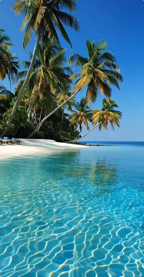 Tropical Paradise Beach, Beautiful Beaches Paradise, Paradise Pictures, Solo Traveling, Island Wallpaper, Beautiful Beach Pictures, Beach Sunset Wallpaper, Beautiful Ocean Pictures, Exotic Beaches