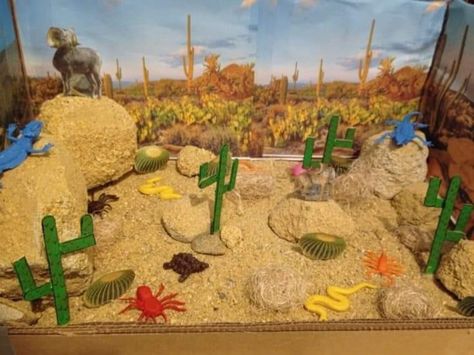 Landforms #project #schoolproject #scienceexbhition😍❤️😘 #class #decoration #ib #ideas ##creativity #teachersofinstagram #school Desert Habitat Diorama, Desert Diarama Ideas, Snake Diorama Project, Desert Habitat Project, Desert Diorama Projects, Desert Project For School, Desert Habitat Projects For Kids, Desert Biome Project Ideas, Desert Ecosystem Project